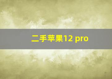 二手苹果12 pro